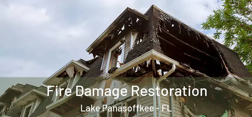 Fire Damage Restoration Lake Panasoffkee - FL