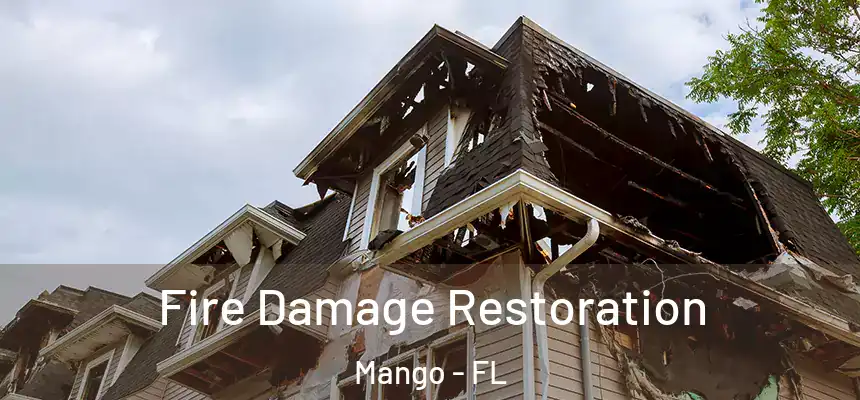  Fire Damage Restoration Mango - FL