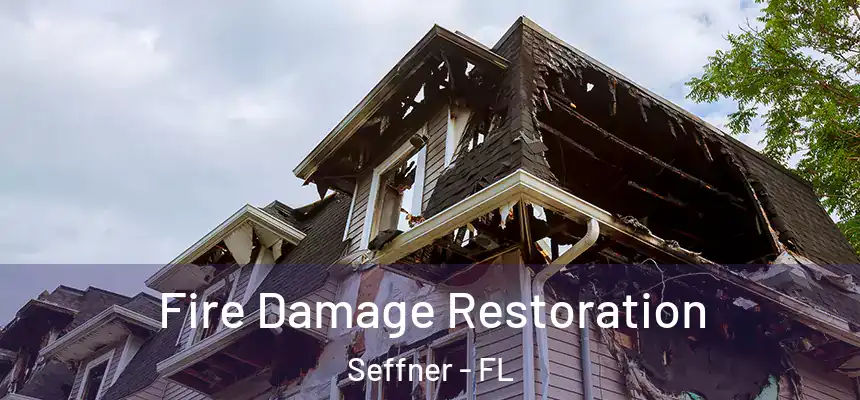  Fire Damage Restoration Seffner - FL