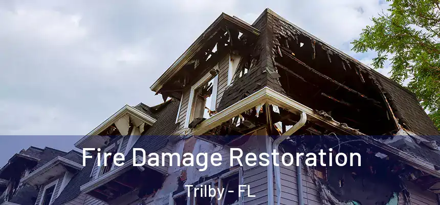Fire Damage Restoration Trilby - FL