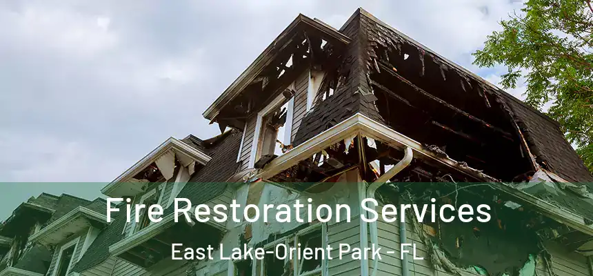  Fire Restoration Services East Lake-Orient Park - FL