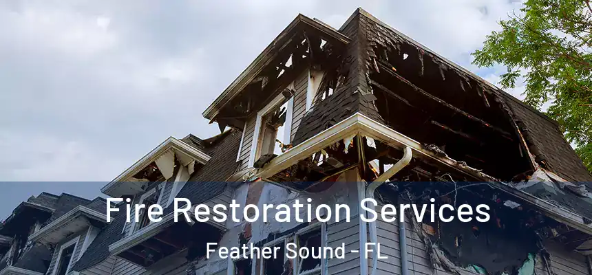 Fire Restoration Services Feather Sound - FL