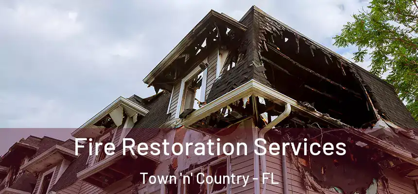 Fire Restoration Services Town 'n' Country - FL