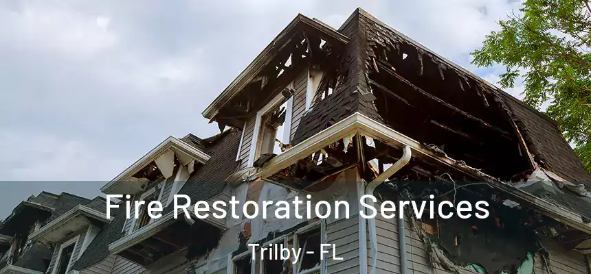 Fire Restoration Services Trilby - FL