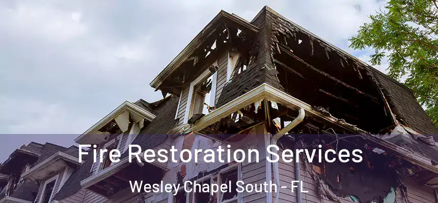 Fire Restoration Services Wesley Chapel South - FL