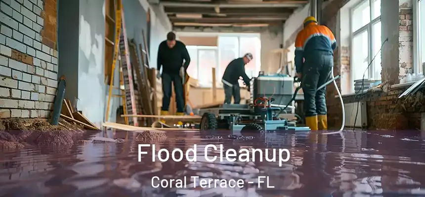 Flood Cleanup Coral Terrace - FL