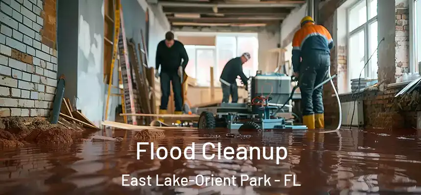  Flood Cleanup East Lake-Orient Park - FL
