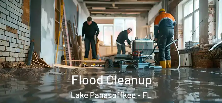 Flood Cleanup Lake Panasoffkee - FL