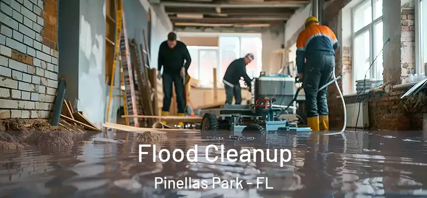 Flood Cleanup Pinellas Park - FL