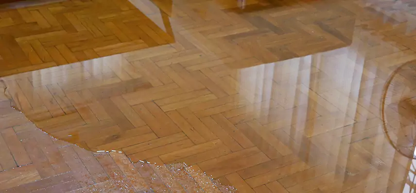 Laminate Wood Floor Water Damage Repair in Lakeland
