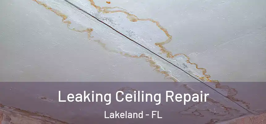  Leaking Ceiling Repair Lakeland - FL
