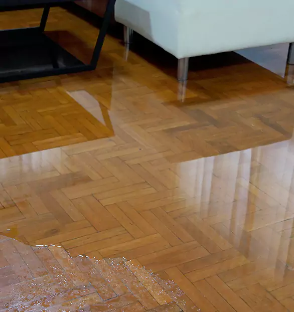 Trusted Emergency Water Restoration Company in Lakeland, FL