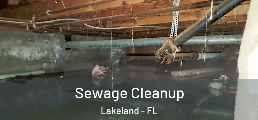  Sewage Cleanup Lakeland - FL