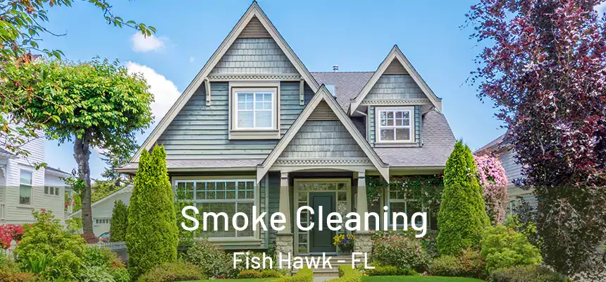 Smoke Cleaning Fish Hawk - FL