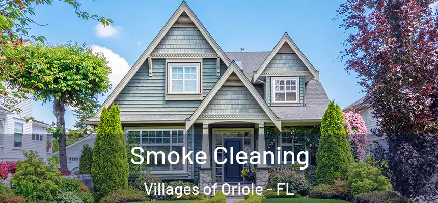  Smoke Cleaning Villages of Oriole - FL