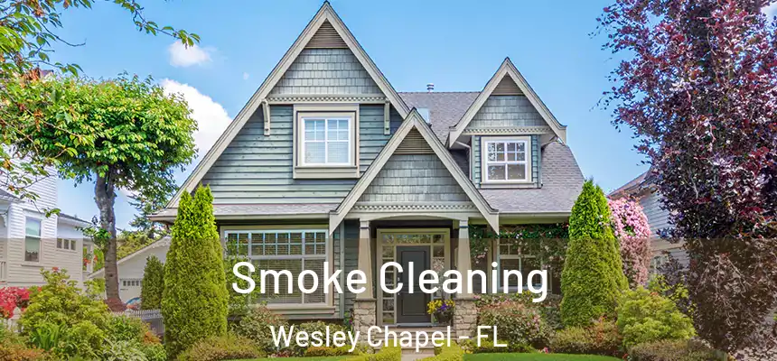  Smoke Cleaning Wesley Chapel - FL