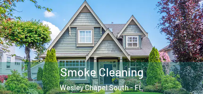  Smoke Cleaning Wesley Chapel South - FL