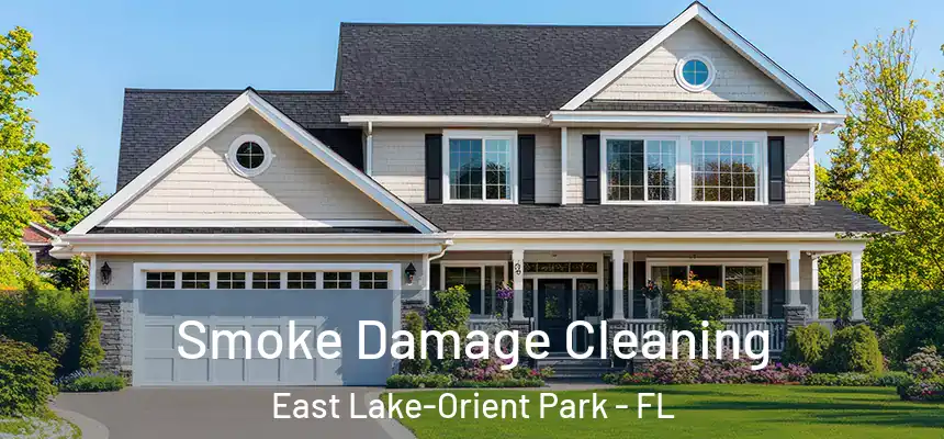  Smoke Damage Cleaning East Lake-Orient Park - FL