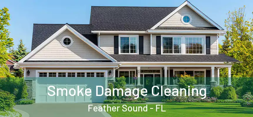 Smoke Damage Cleaning Feather Sound - FL