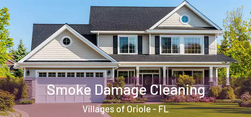  Smoke Damage Cleaning Villages of Oriole - FL