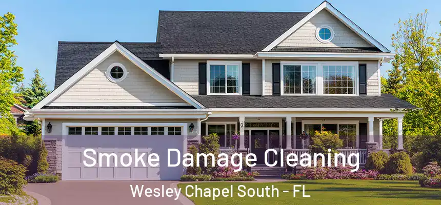 Smoke Damage Cleaning Wesley Chapel South - FL